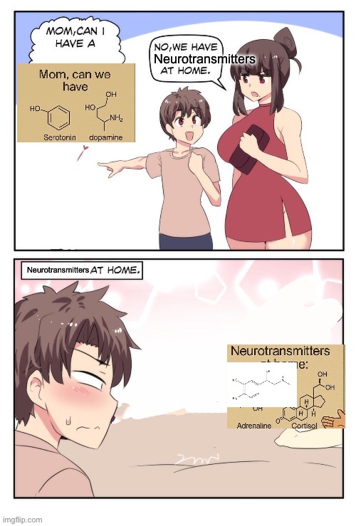 Neurotransmitters | image tagged in neurodivergent,transmission,biology | made w/ Imgflip meme maker