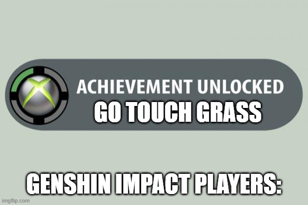 achievement unlocked | GO TOUCH GRASS; GENSHIN IMPACT PLAYERS: | image tagged in achievement unlocked | made w/ Imgflip meme maker