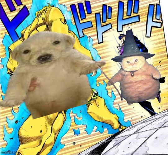 Dog vs Wizard Cat | image tagged in jojo's walk,dog,wizard cat | made w/ Imgflip meme maker