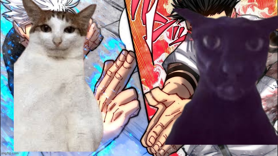 Uncle Bao vs Larry | image tagged in gojo vs sukuna,larry,cat,uncle bao | made w/ Imgflip meme maker
