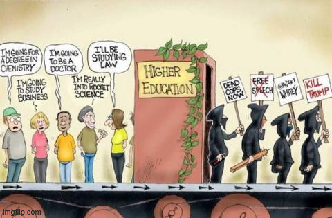 Higher education | image tagged in political,reposts,higher education | made w/ Imgflip meme maker