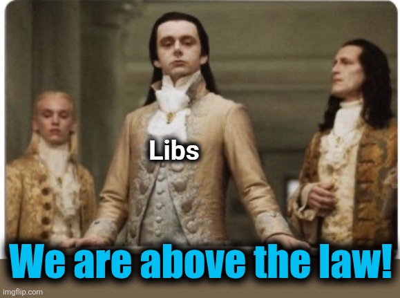 Superior Royalty | Libs We are above the law! | image tagged in superior royalty | made w/ Imgflip meme maker