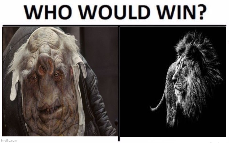 Who Would Win? | image tagged in memes,who would win | made w/ Imgflip meme maker