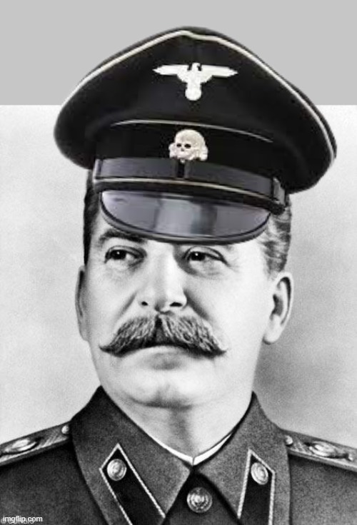 Stalin wears an SS officer hat (made for satirical purposes only) | image tagged in hypocrite stalin | made w/ Imgflip meme maker