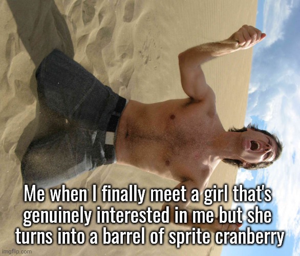 NOOOOOOO!!!!! | Me when I finally meet a girl that's 
genuinely interested in me but she 
turns into a barrel of sprite cranberry | image tagged in nooooooo | made w/ Imgflip meme maker