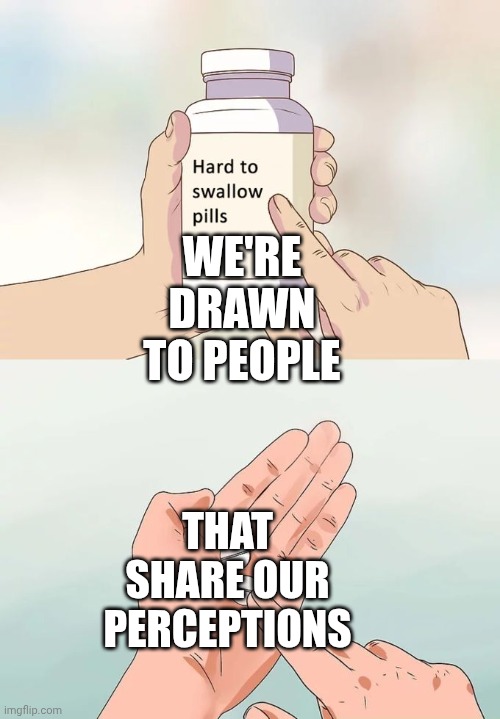 Perception: the ability to see, hear, or become aware of something through the senses.  "The normal LIMITS to HUMAN PERCEPTION" | WE'RE DRAWN TO PEOPLE; THAT SHARE OUR PERCEPTIONS | image tagged in memes,hard to swallow pills,perception,see,hear,taste | made w/ Imgflip meme maker