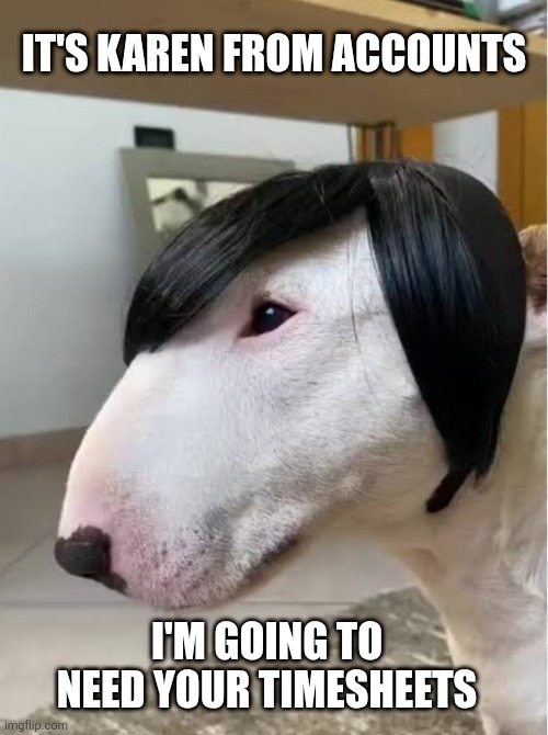 Karen wants your timesheets | IT'S KAREN FROM ACCOUNTS; I'M GOING TO NEED YOUR TIMESHEETS | image tagged in timesheets | made w/ Imgflip meme maker