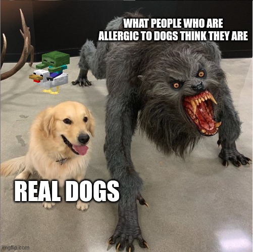 dog vs werewolf | WHAT PEOPLE WHO ARE ALLERGIC TO DOGS THINK THEY ARE; REAL DOGS | image tagged in dog vs werewolf | made w/ Imgflip meme maker