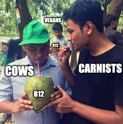 VEGANS; B12; CARNISTS; COWS; B12 | made w/ Imgflip meme maker