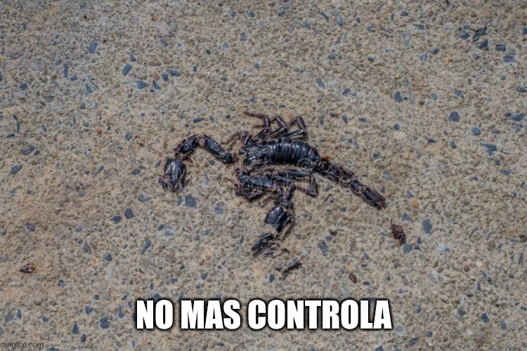 NO MAS CONTROLA | image tagged in but thats none of my business | made w/ Imgflip meme maker