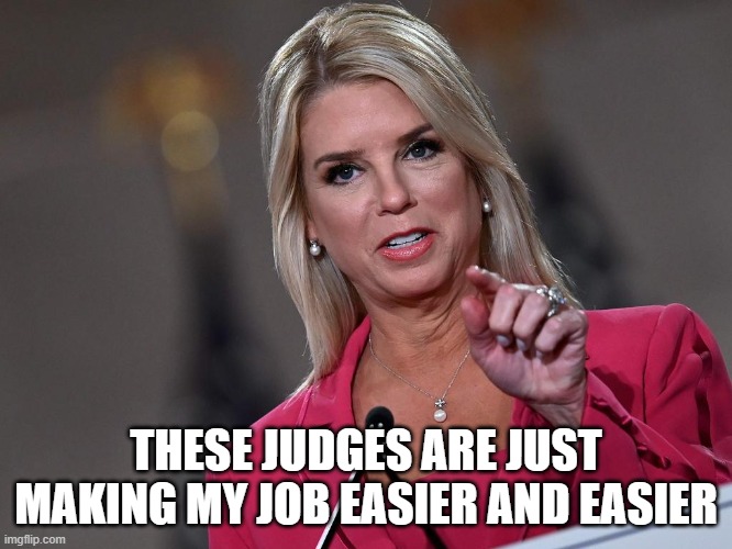Pam Bondi | THESE JUDGES ARE JUST MAKING MY JOB EASIER AND EASIER | image tagged in pam bondi | made w/ Imgflip meme maker