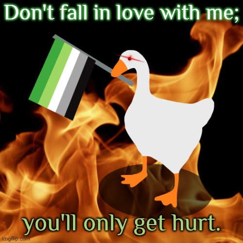 I can't return such feelings. | Don't fall in love with me;; you'll only get hurt. | image tagged in aromantic flag untitled goose with laser eye and fire,heartbreak,lgbt,what is love | made w/ Imgflip meme maker