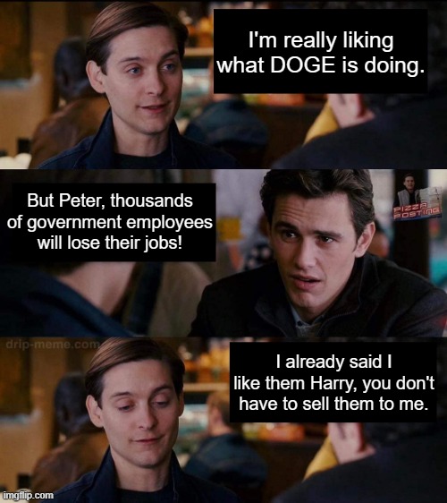 DOGE | I'm really liking what DOGE is doing. But Peter, thousands of government employees will lose their jobs! I already said I like them Harry, you don't have to sell them to me. | image tagged in harry you don't need to sell it to me | made w/ Imgflip meme maker
