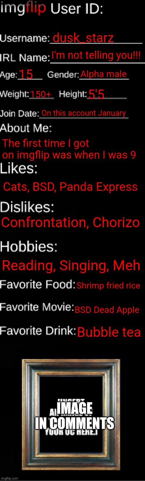 *insert clever title here* | dusk_starz; I'm not telling you!!! 15; Alpha male; 150+; 5'5; On this account January; The first time I got on imgflip was when I was 9; Cats, BSD, Panda Express; Confrontation, Chorizo; Reading, Singing, Meh; Shrimp fried rice; BSD Dead Apple; Bubble tea; IMAGE IN COMMENTS | image tagged in imgflip id card | made w/ Imgflip meme maker