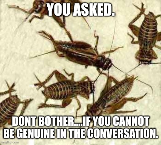 Crickets | YOU ASKED. DONT BOTHER....IF YOU CANNOT BE GENUINE IN THE CONVERSATION. | image tagged in crickets | made w/ Imgflip meme maker