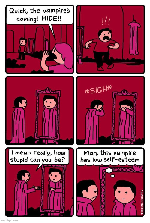 image tagged in vampire,hide,mirror,stupid,self esteem,low | made w/ Imgflip meme maker