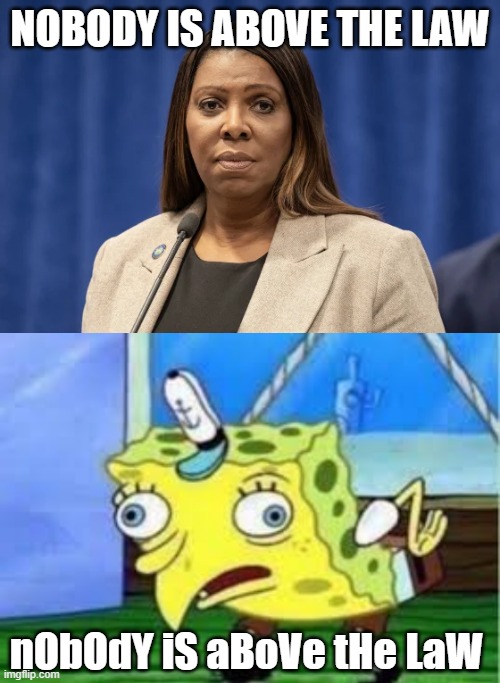 Nobody is above the law | NOBODY IS ABOVE THE LAW; nObOdY iS aBoVe tHe LaW | made w/ Imgflip meme maker