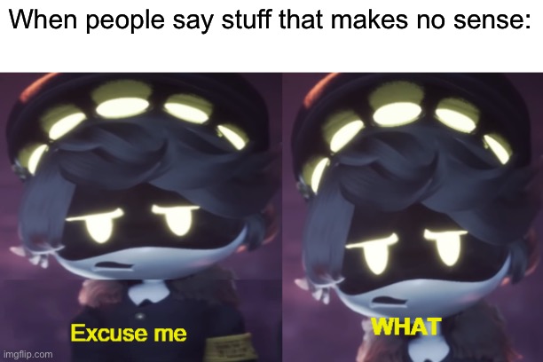 Excuse me WHAT N edition | When people say stuff that makes no sense: | image tagged in excuse me what n edition | made w/ Imgflip meme maker