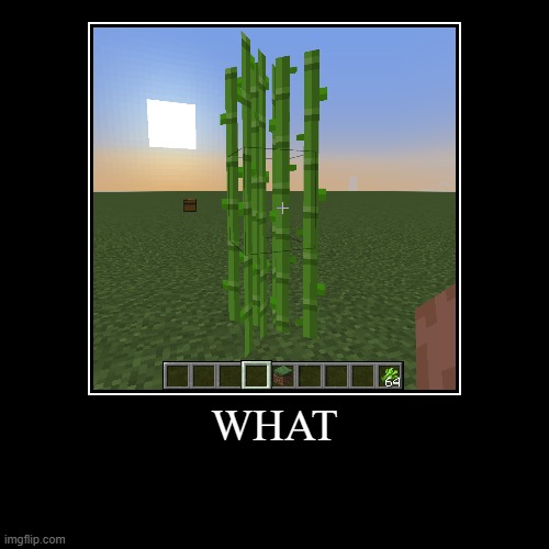 What | WHAT | | image tagged in funny,demotivationals | made w/ Imgflip demotivational maker