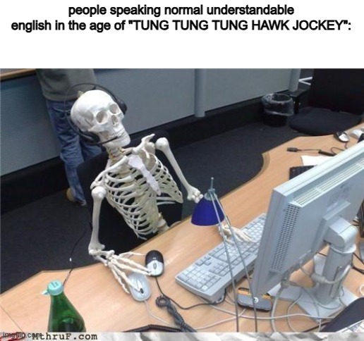 i don't know i just came up with some brainrot shit off the top of my head | people speaking normal understandable english in the age of "TUNG TUNG TUNG HAWK JOCKEY": | image tagged in waiting skeleton | made w/ Imgflip meme maker