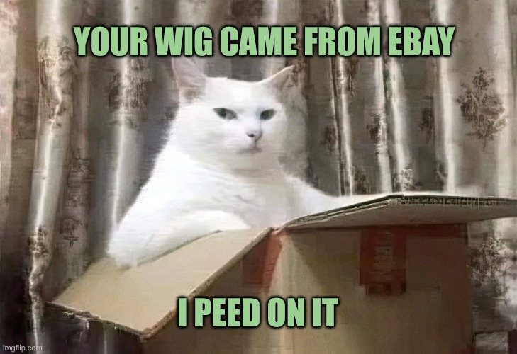 Cat in a Box | YOUR WIG CAME FROM EBAY; I PEED ON IT | image tagged in cat in a box,ebay,wig,pee,cat,smudge the cat | made w/ Imgflip meme maker