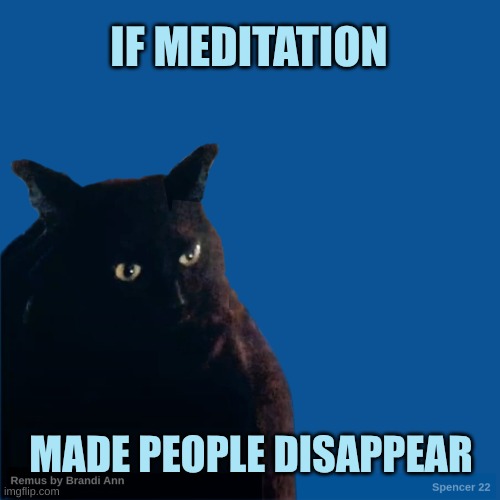 Contemplate Cat | IF MEDITATION; MADE PEOPLE DISAPPEAR | image tagged in contemplate cat,cat,meditation,go away,disappearing,poof | made w/ Imgflip meme maker