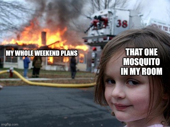 Disaster Girl | THAT ONE MOSQUITO IN MY ROOM; MY WHOLE WEEKEND PLANS | image tagged in memes,mosquito,ruin | made w/ Imgflip meme maker