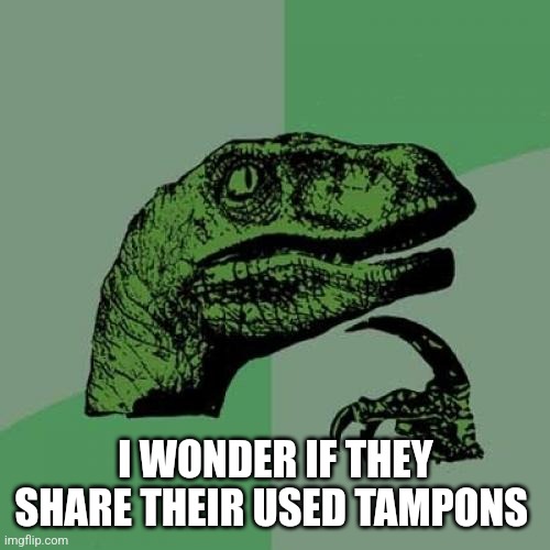 Philosoraptor Meme | I WONDER IF THEY SHARE THEIR USED TAMPONS | image tagged in memes,philosoraptor | made w/ Imgflip meme maker