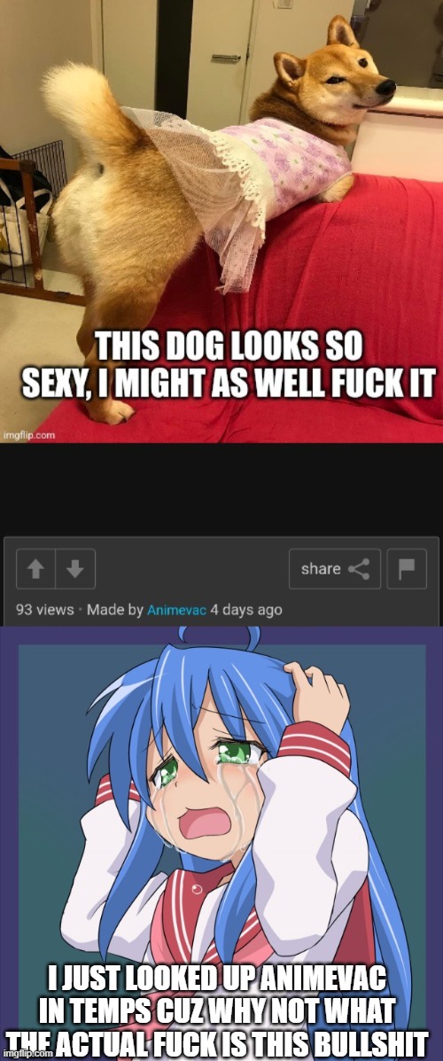 delete if you have to i don't mind just...dear god... | I JUST LOOKED UP ANIMEVAC IN TEMPS CUZ WHY NOT WHAT THE ACTUAL FUCK IS THIS BULLSHIT | image tagged in a proof of animevac being a fugging z-wodr,konata too many a | made w/ Imgflip meme maker