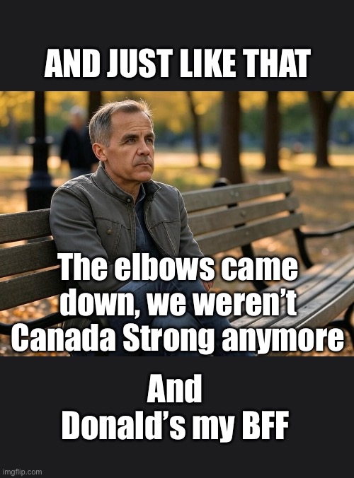 ??CanadaStrong?? | AND JUST LIKE THAT; The elbows came down, we weren’t Canada Strong anymore; And Donald’s my BFF | image tagged in liberal hypocrisy | made w/ Imgflip meme maker