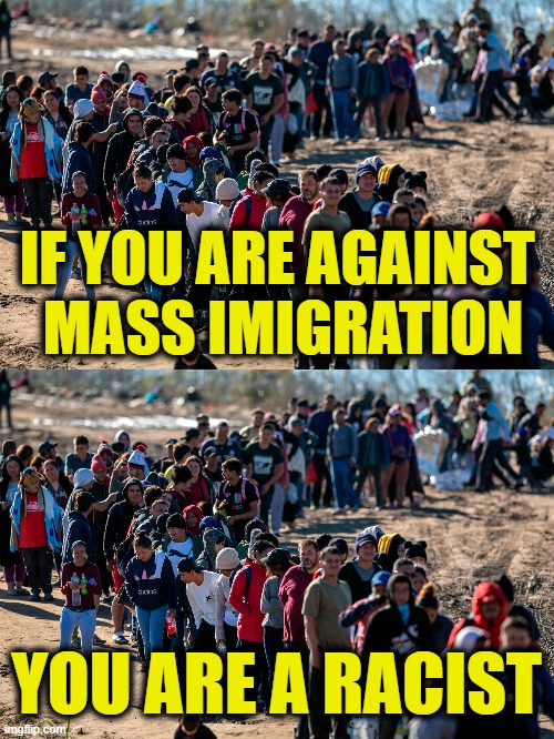 More Leftist Logic | IF YOU ARE AGAINST 
MASS IMIGRATION; YOU ARE A RACIST | made w/ Imgflip meme maker