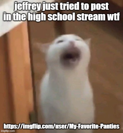screaming cat | jeffrey just tried to post in the high school stream wtf; https://imgflip.com/user/My-Favorite-Panties | image tagged in screaming cat | made w/ Imgflip meme maker