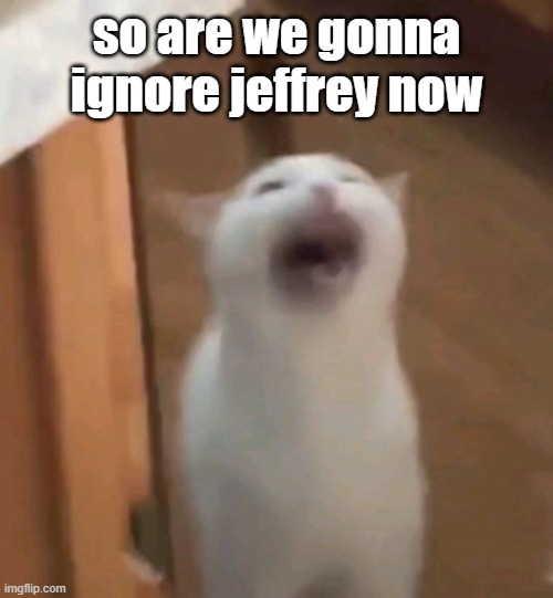(Fries: Nah) | so are we gonna ignore jeffrey now | image tagged in screaming cat | made w/ Imgflip meme maker