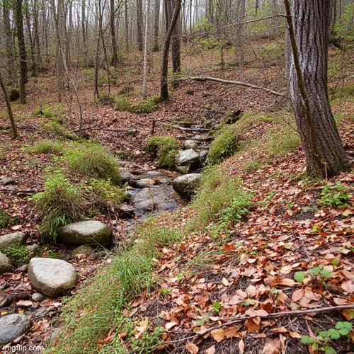 Nature | image tagged in ai generated | made w/ Imgflip meme maker