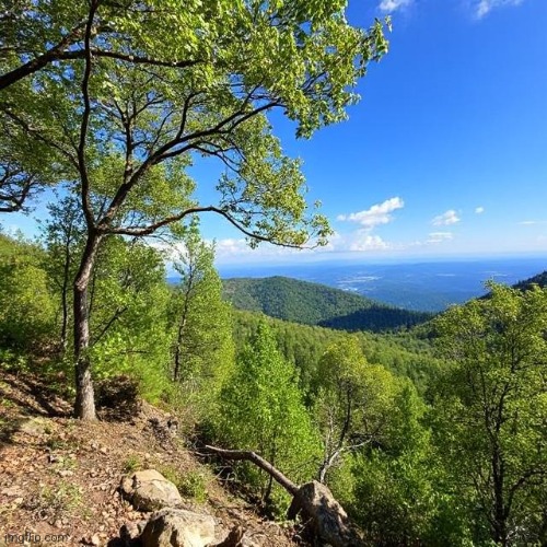 More nature | image tagged in ai generated | made w/ Imgflip meme maker