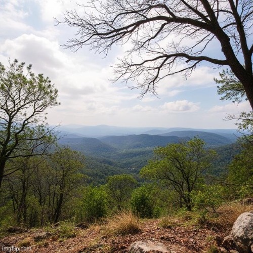 Even more nature | image tagged in ai generated | made w/ Imgflip meme maker