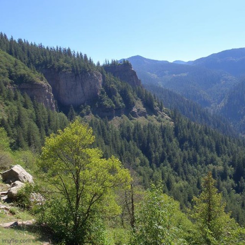 Last nature pic for a while | image tagged in ai generated | made w/ Imgflip meme maker