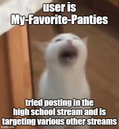 screaming cat | user is My-Favorite-Panties; tried posting in the high school stream and is targeting various other streams | image tagged in screaming cat | made w/ Imgflip meme maker
