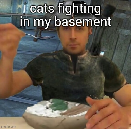 kenshi guy | cats fighting in my basement | image tagged in kenshi guy | made w/ Imgflip meme maker