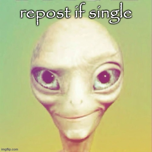 repost if single | image tagged in repost if single | made w/ Imgflip meme maker