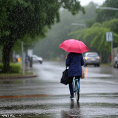 Dumb lady in the rain | image tagged in ai generated | made w/ Imgflip meme maker