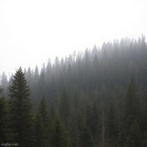 Trees | image tagged in ai generated | made w/ Imgflip meme maker