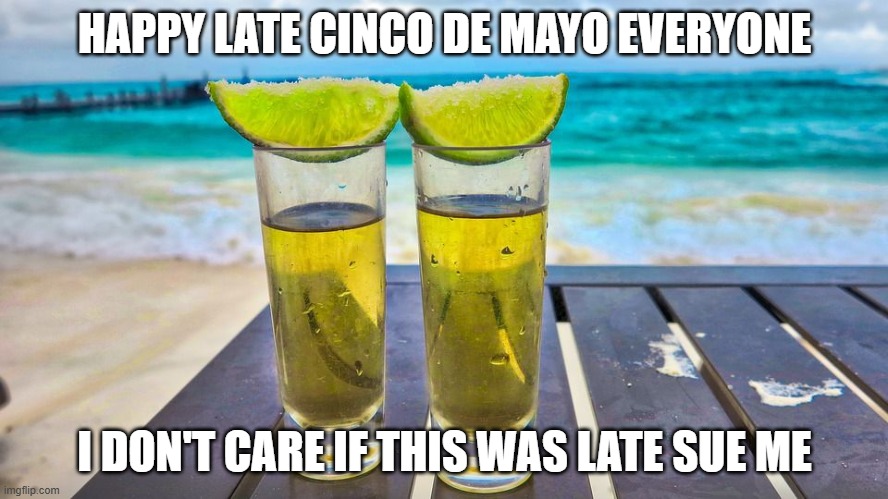 Happy Cinco de Mayo! | HAPPY LATE CINCO DE MAYO EVERYONE; I DON'T CARE IF THIS WAS LATE SUE ME | image tagged in happy cinco de mayo | made w/ Imgflip meme maker