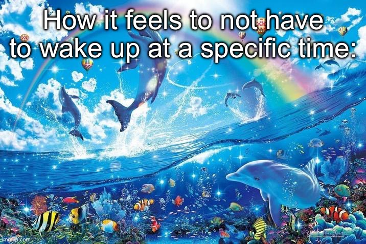 2 weeks of school left for me gng | How it feels to not have to wake up at a specific time: | image tagged in happy dolphin rainbow | made w/ Imgflip meme maker