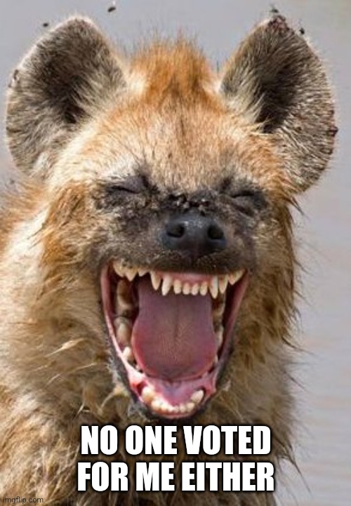 lol funny | NO ONE VOTED FOR ME EITHER | image tagged in lol funny | made w/ Imgflip meme maker