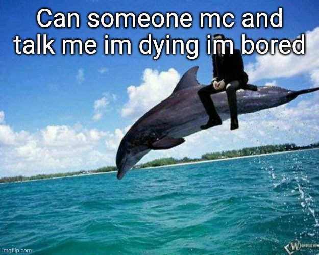 What the hell | Can someone mc and talk me im dying im bored | image tagged in what the hell | made w/ Imgflip meme maker