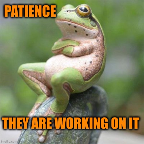 frog waiting | PATIENCE THEY ARE WORKING ON IT | image tagged in frog waiting | made w/ Imgflip meme maker