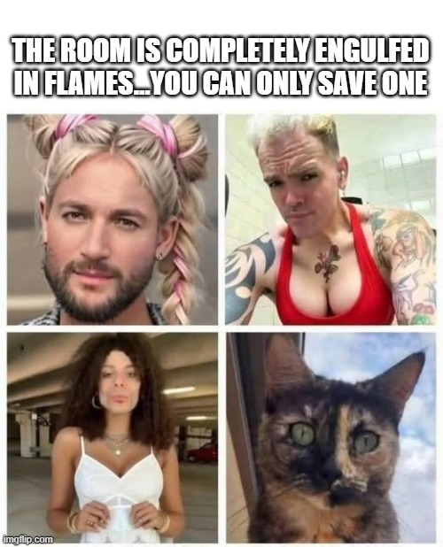 Save One! | THE ROOM IS COMPLETELY ENGULFED IN FLAMES...YOU CAN ONLY SAVE ONE | image tagged in dark humor | made w/ Imgflip meme maker