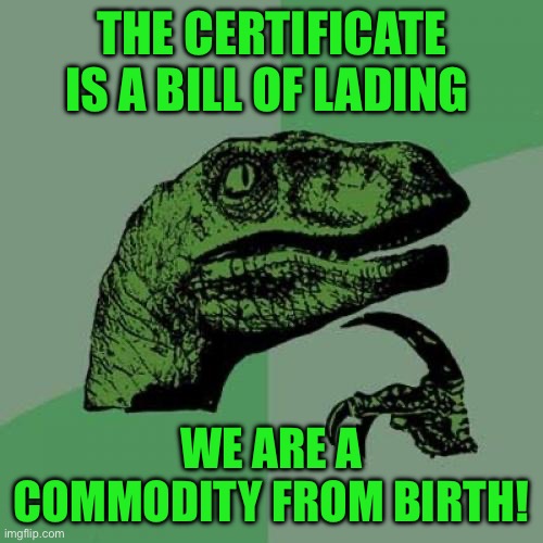 Philosoraptor | THE CERTIFICATE IS A BILL OF LADING; WE ARE A COMMODITY FROM BIRTH! | image tagged in memes,philosoraptor | made w/ Imgflip meme maker