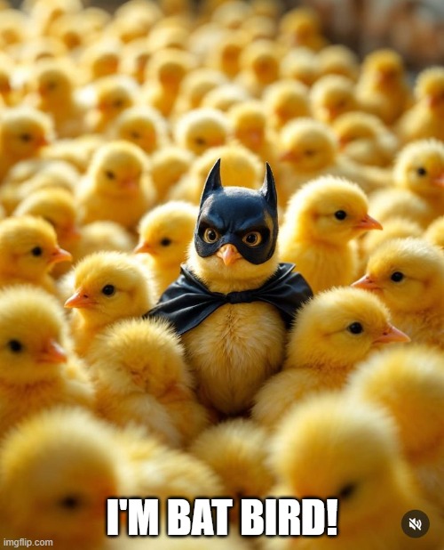 Bat Bird | I'M BAT BIRD! | image tagged in ducks | made w/ Imgflip meme maker
